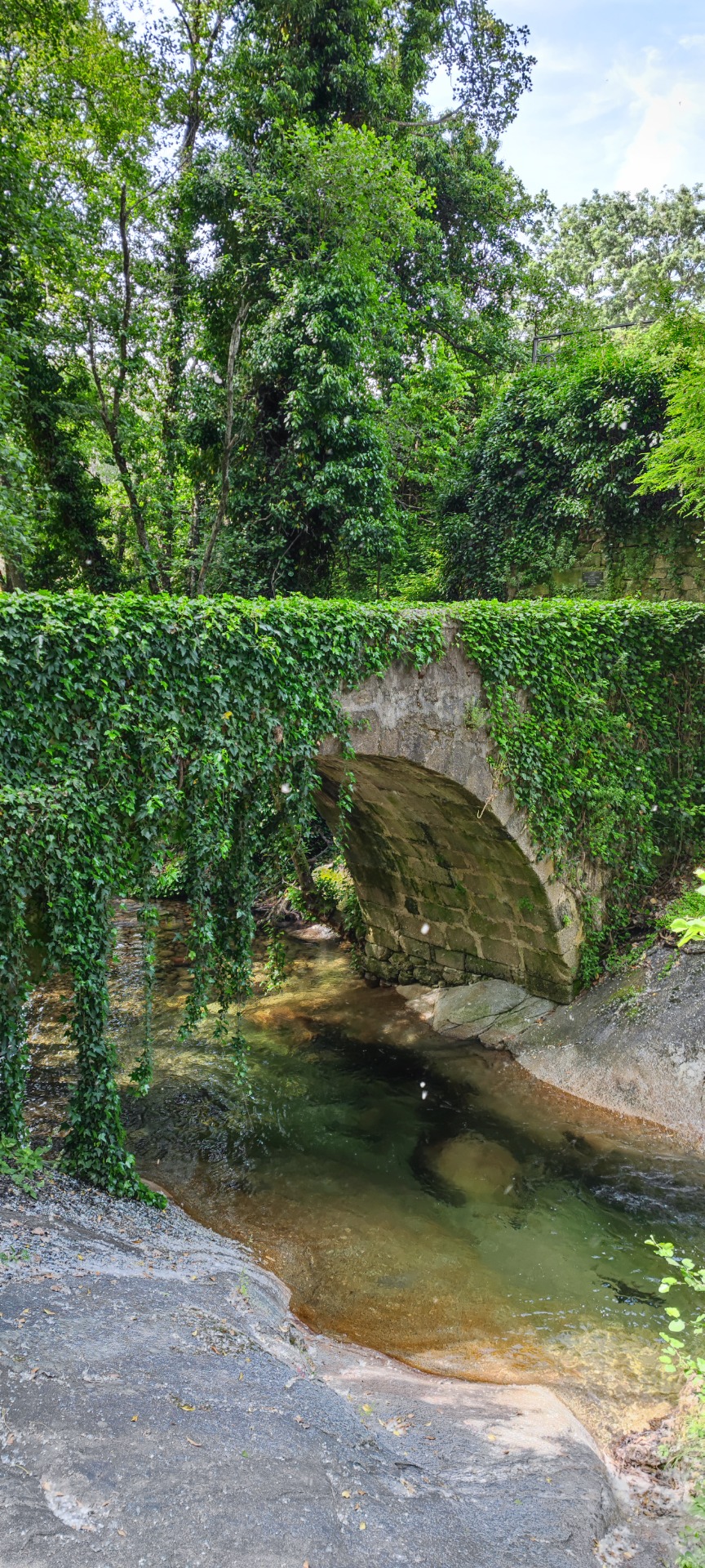 Puente S. Gregorio