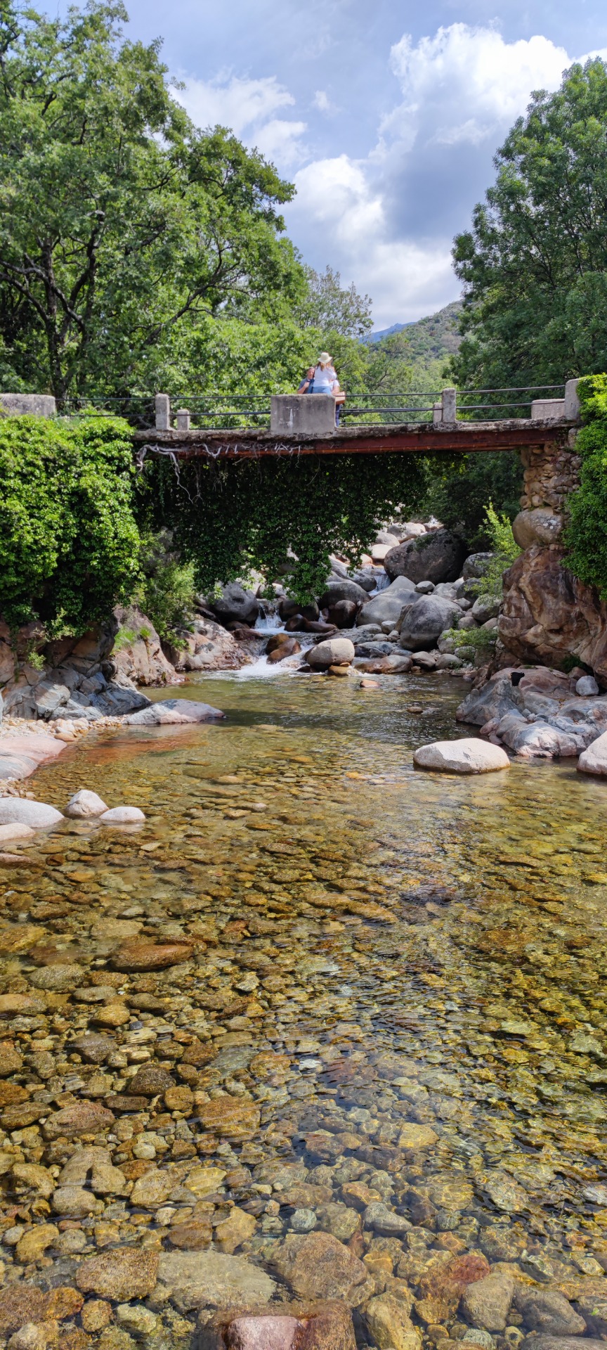 Charco de la máquina
