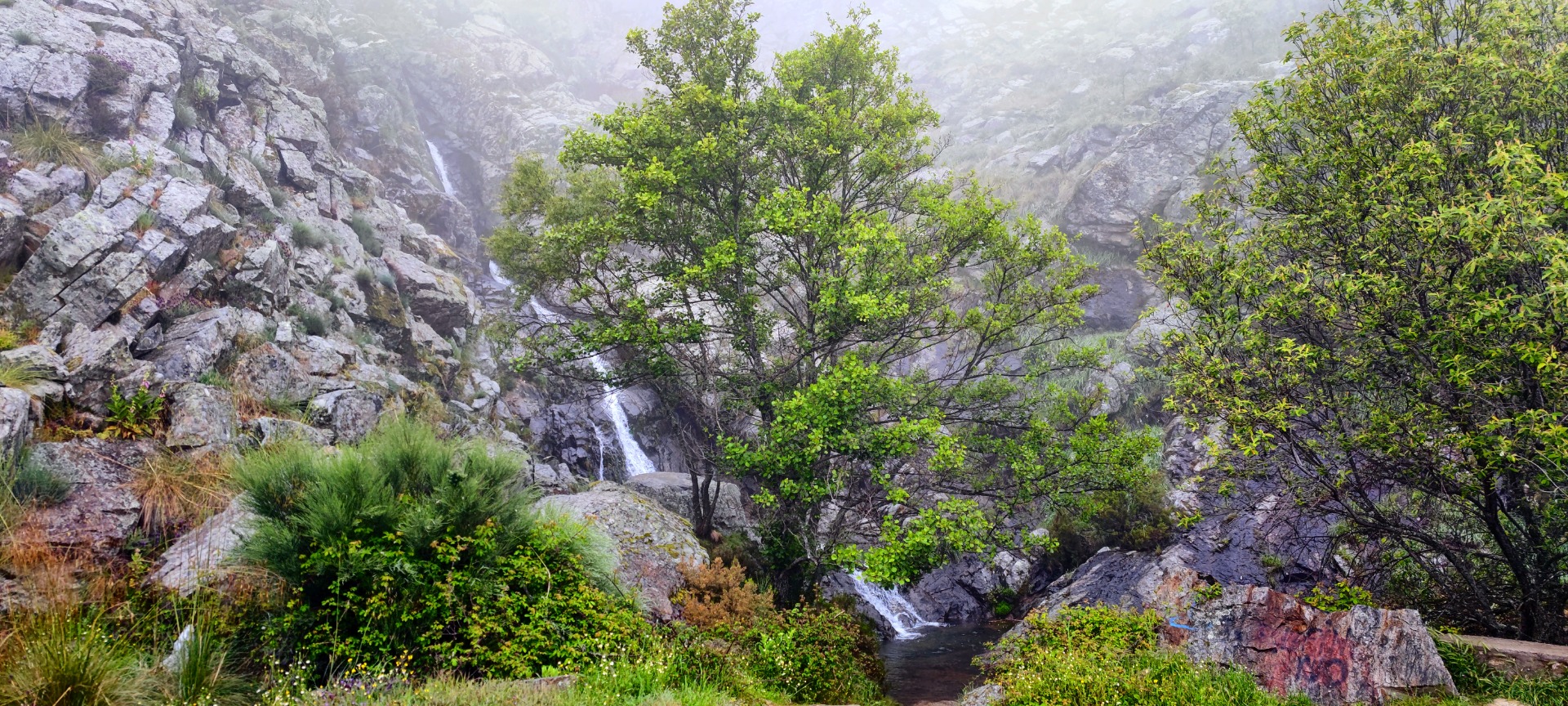 Cascada Desesperá